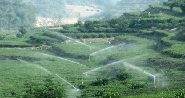 水肥一體機.jpg